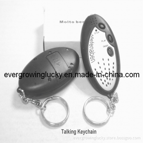 Custom Sound Effect Keychain
